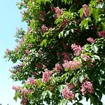 Gospodarstwo agroturystyczne La Torre *