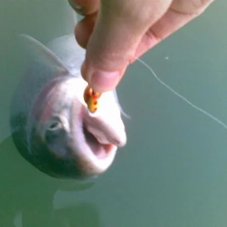 Farm stay La Torre *