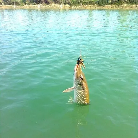 La Torre