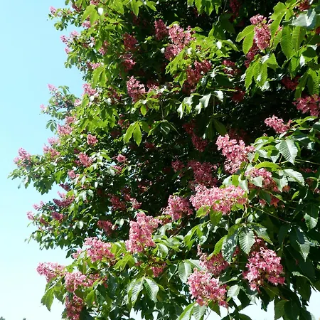 Séjour à la ferme La Torre *